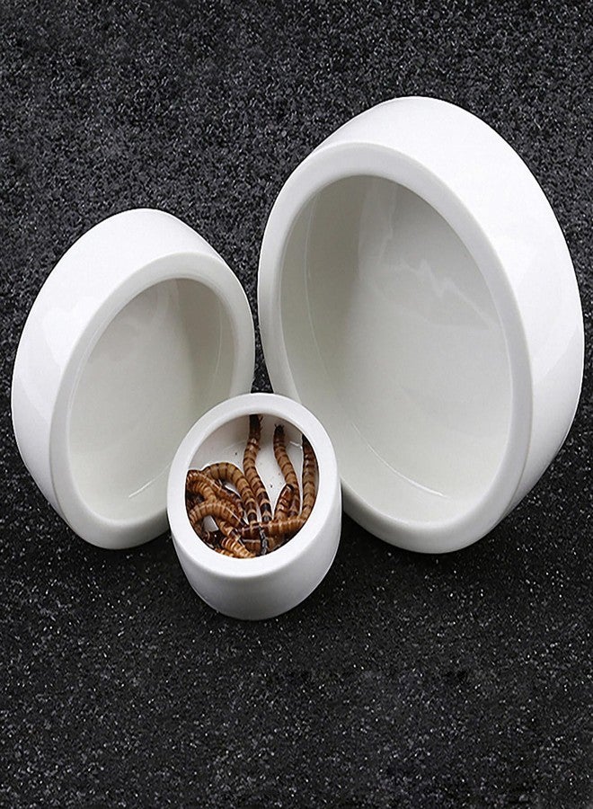 OMEM Worm Dish Mini Reptile Food Bowl Ceramics Made Mealworms Bowls Anti-Escape for Lizard Gecko Leopard Bearded Dragon (M) - Image 5